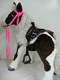 Butterscotch & S'Mores Interactive Horse Saddle Set, Neon Pink, Numbers
