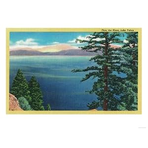 Lake Tahoe and Pines - Lake Tahoe, CA Giclee Poster Print, 12x16