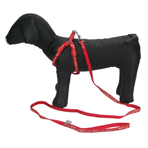 小型犬用散歩グッズ　胴輪　ハーネス＆リード　レッド　ボーン柄 胴回り25～35 CM　リード長120 CM  Leash & Harness 選べる8柄 (8198-23)