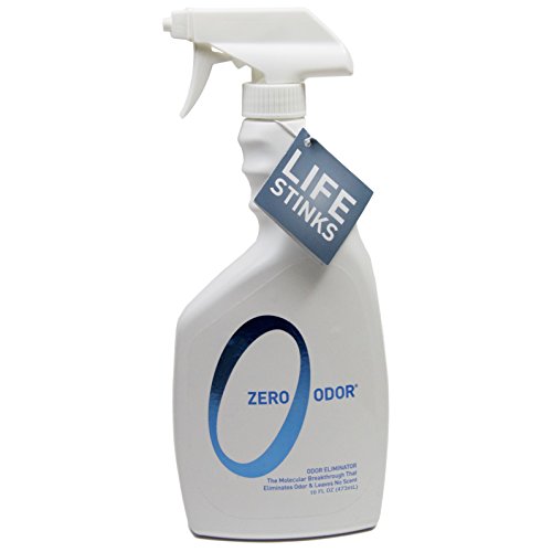 car upholstery odor remover
