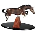 Jumping Horse Sport by Kitty Cantrell & Caroline Boydston
