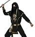 In Character Mens Adult Ninja Warrior Martial Arts Halloween Costume
