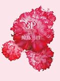 3P