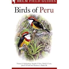 Birds of Peru (Helm Field Guides)