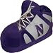 Northwestern Wildcats Infant Slipper