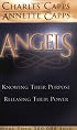 Angels: Knowing Their Purpose, Releasing Their Power