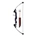 Sporting Goods : Sharpshooter Bow and Arrow Set