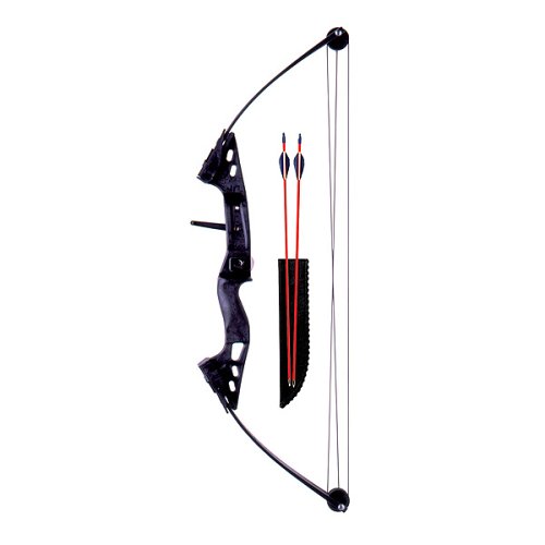 Childrens Toyshop  Sporting Goods : Sharpshooter Bow and Arrow Set