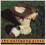 Bird Wood Cage an album by Wolfgang Press