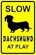 DACHSHUND AT PLAY slow warn dog pet NEW sign