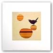 Fly on the Wall by Amy Ruppel 6"x6" Art Print Poster