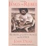 Jesus the Rebel: Bearer of God's Peace and Justice