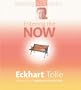 Entering the Now (Teaching the Power of Now Series)