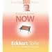 Entering the Now (The Power of Now Teaching Series)