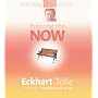 Entering the Now (Teaching the Power of Now Series)