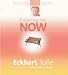 Entering the Now (The Power of Now Teaching Series)