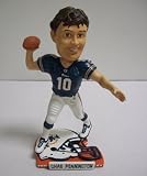 Chad Pennington Miami Dolphins Helmet Base Bobblehead