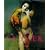 Saudek (Albums)