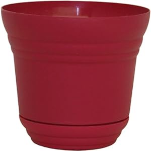 Rush Creek Designs PIM0975005720 Denali Planter with Built in Tray Rose