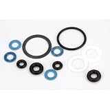 Carb Gasket O-Ring Set: EVO36 by Evolution Engines