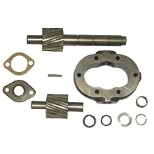 BSM Pump 713-9020-280 Model #2S Repair Kit