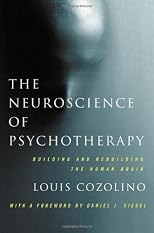 The neuroscience of psychotherapy : healing the social brain