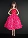 A Hot Pink Knee Length Dress Covered in Roses It so Cute Also Avail in Silver, Red, and Purple Made to Fit the Barbie Doll