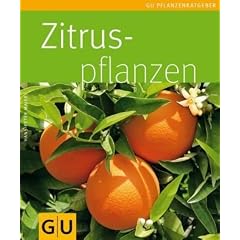 Zitruspflanzen (Pflanzenratgeber)