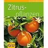 Zitruspflanzen (Pflanzenratgeber)