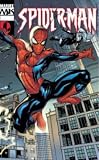 Marvel Knights Spider-Man (v. 1)