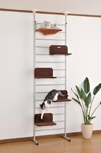 キャットウォーク \ 15,000