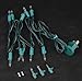 Novelty Lights 10 Light Clear Christmas Craft Mini Light Set, Non-Connectable, Green Wire, 4' Long