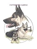 German Shepherd - Trio Image by Cindy Farmer