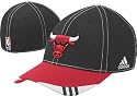 Chicago Bulls 2009-2010 On Court Flex Fit Hat