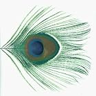 Apple Venus Volume 1 by XTC