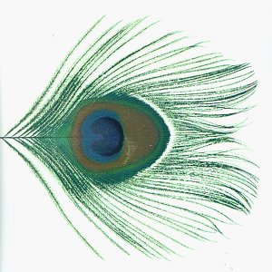 CD-Charts  Music : Apple Venus Volume 1