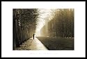 Jardin De Versailles France Photo Sepia Art Framed Poster Print - 24" X 36"
