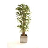 7ft Japanese Bamboo with Natural Stems - Artificial Plant