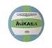 Sporting Goods : Mikasa Competitive Class Volleyball