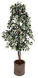 Review i-koncepts Ltd  / 6ft Ficus Nitida with Natural Stem - Variegated - Artificial Plant