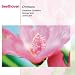 Overtures
