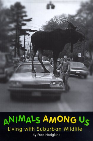 Wildlife