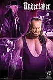 WWE THE UNDERTAKER POSTER 22 5x34 WRESTLING 9217