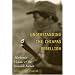Understanding the Chiapas Rebellion: Modernist Visions and the Invisible Indian