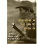 Understanding the Chiapas Rebellion: Modernist Visions and the Invisible Indian