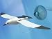 Build It Yourself: Flapping Sea Gull - Flapping Sea Gull
