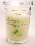 Buy Candles Online Harmonious Candles Natural Rainforest (NR) 8 Oz Soy Scented Jar Candle 41WGRlLovBL. SL160 Buy Candles Online Harmonious Candles Natural Rainforest (NR) 8 Oz Soy Scented Jar Candle