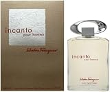 Incanto Pour Homme by Salvatore Ferragamo