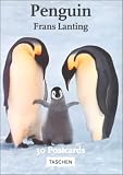 Penguins (Postcardbooks)