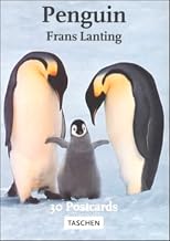 Penguins (Postcardbooks)